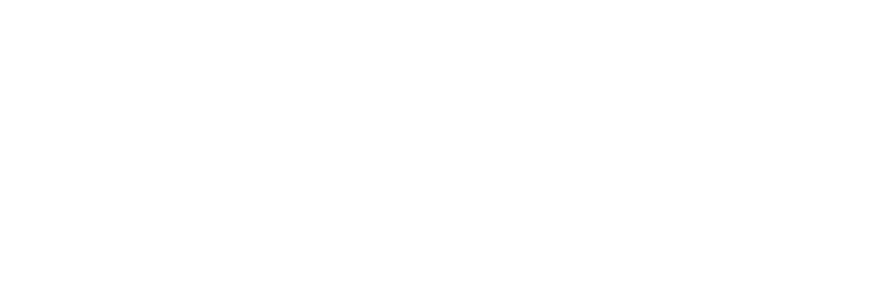 PruviaSoft Logo